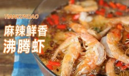 对虾塘爆料视频,揭秘养殖业的真实一面